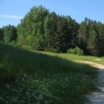 svetloiar-5