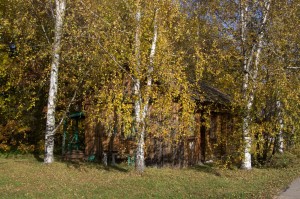 4Х местный номер "В ЛИПАХ"